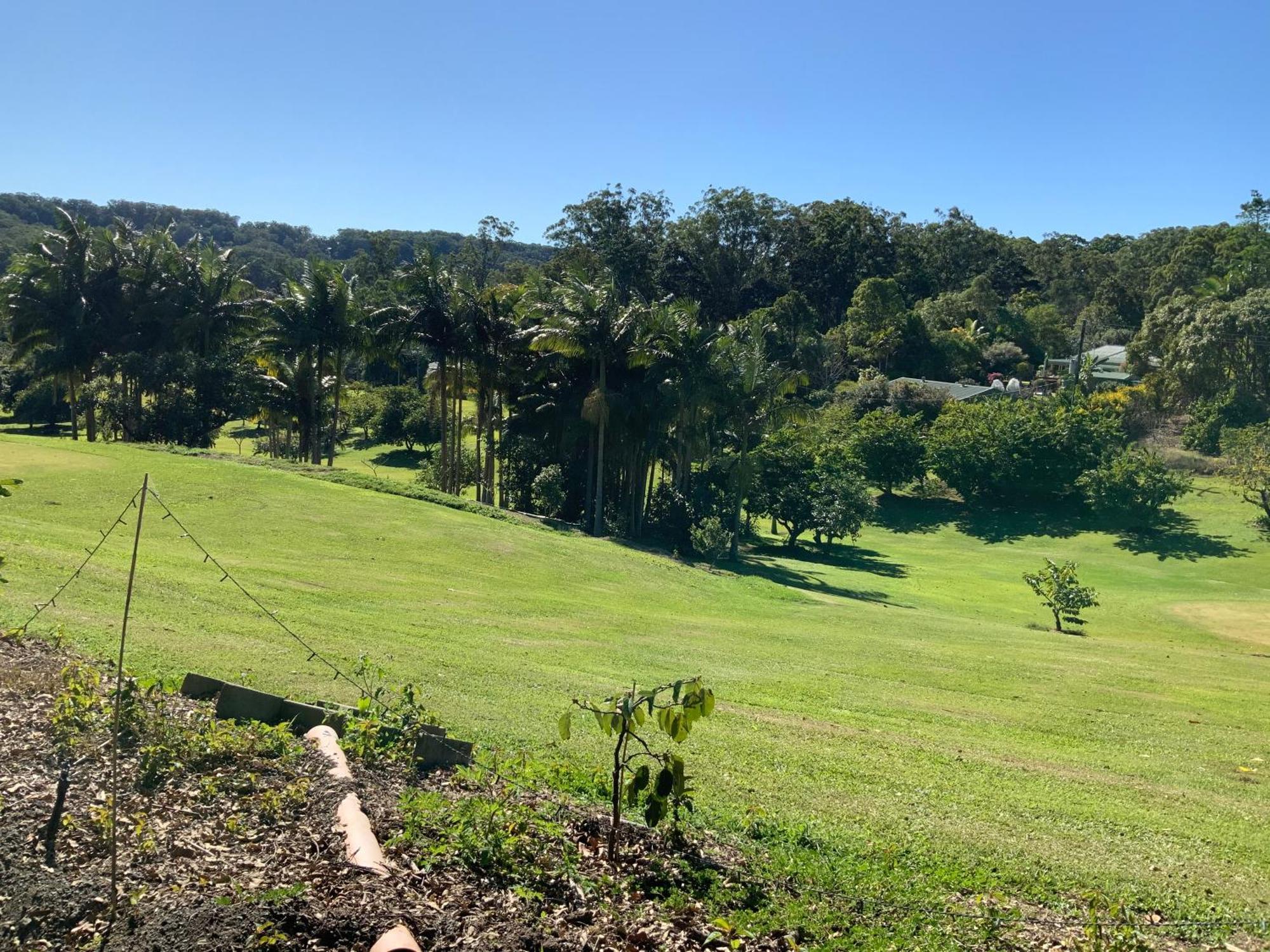 Sunshine Coast Retreat Your Own Private Golf Course Diddillibah Екстериор снимка