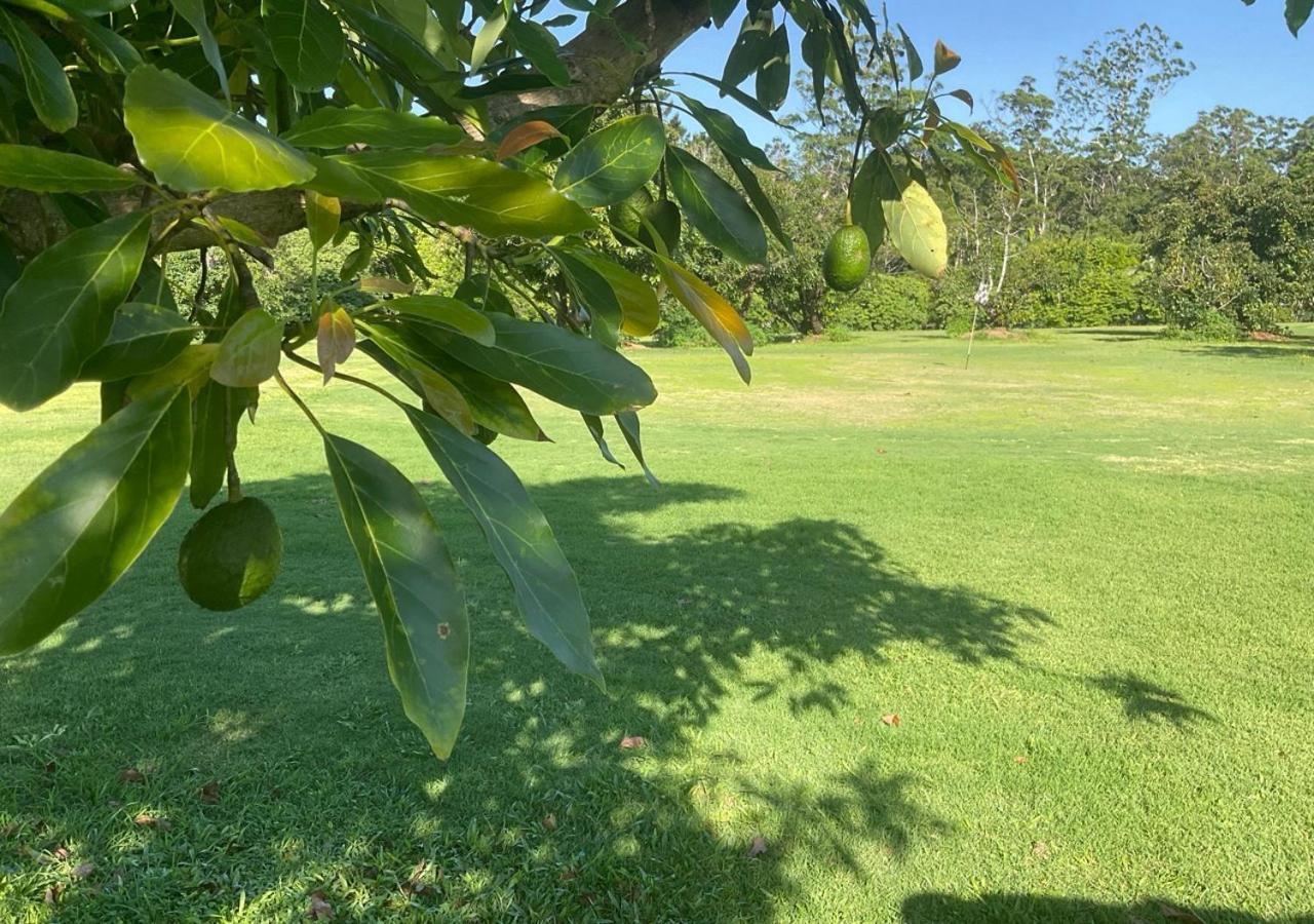 Sunshine Coast Retreat Your Own Private Golf Course Diddillibah Екстериор снимка